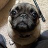 Sawyer 🔍, ⏸️/⏹️'s profile picture