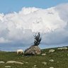 Keseteberhan2as profil fotoğrafı
