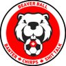 Beaver Ball 的头像
