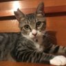 AO profil fotoğrafı