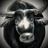 Profilbild von mk.马克