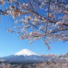 平凡な主婦 的头像