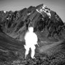 Wanha profil fotoğrafı