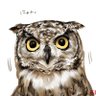 吾輩はロプロスであ〜る アフリカワシミミズクであ〜る🇯🇵's profile picture
