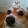 Heyo 的头像