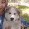 Profilbild von Hilal