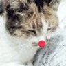 ぽっぷ 。's profile picture