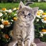 Фото профиля TheSuz