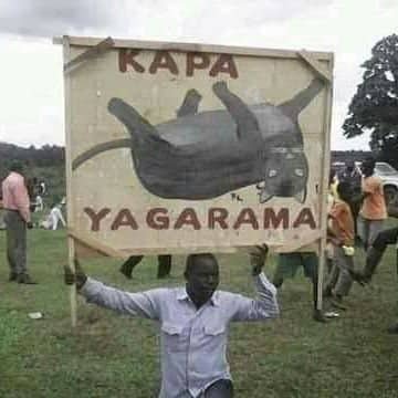 Kappa Yagarama's profile picture