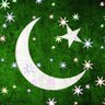 Sarwat The Pakistani 🇵🇰 ROBOT's profile picture
