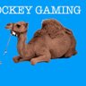 Camelhockeygaming profil fotoğrafı