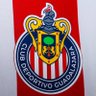 oso88mx profil fotoğrafı