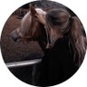 Profilbild von B