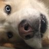 Shutthehellup's profile picture