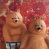 Фото профиля ぶらこに