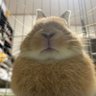 める's profile picture