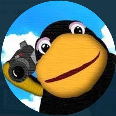 Chollyw20's profile picture