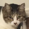 うどん profil fotoğrafı