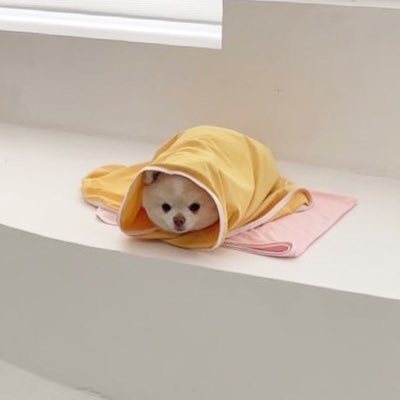 감자구리's profile picture