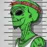 HiighAlien 的头像