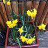 Фото профиля Anita.Aus