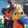 Skywarn Fox's profile picture