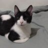 Pablo's profile picture