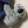 ☆ましまる☆ 的头像