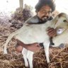 Chikkala.bobby naidu 的头像