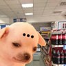 . profil fotoğrafı