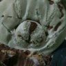Vety Der Königbär 🐻's profile picture