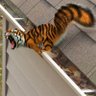 Profilbild von Tiger Squirrel