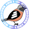 🛫🚘🐣📸こんたく's profile picture