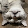 asald profil fotoğrafı