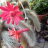 Фото профиля Osanna Bacilieri