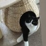 Profilbild von Molly kitty & Cheryl