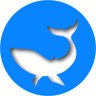 Cetacean Team's profile picture