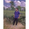 Rohit Mzmdr 🇮🇳 的头像