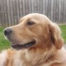 Barbara Mageean's profile picture