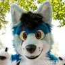 Alpha Wolf's profile picture