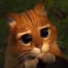 m's profile picture