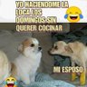 Gyaquil sos profil fotoğrafı