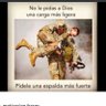 MalvinasArgentinas's profile picture