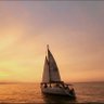 sunflo profil fotoğrafı