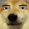 Profilbild von Kushi Kush