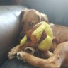 Profilbild von Charley
