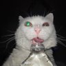 Profilbild von Freeman