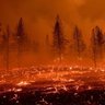 Profilbild von American Fire