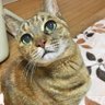 Profilbild von 真由美