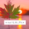 sd••🫀's profile picture